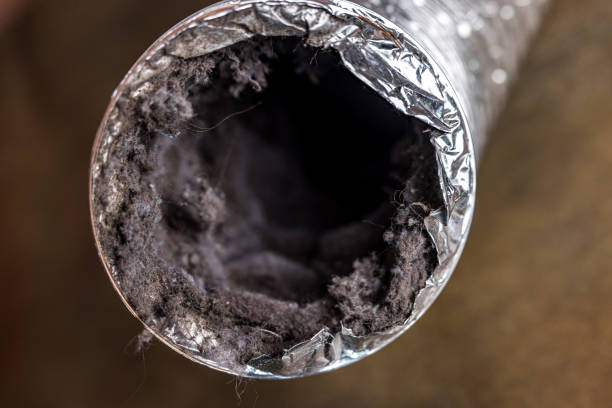 Best HVAC Air Duct Cleaning  in Clarendon Hls, IL